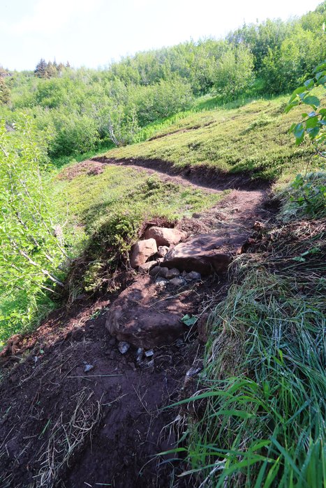 This section of tread was built in 2020. Hopefully the stairs and carefully cleaned tundra below the trail will help it stabilize quickly and remain stable over the long term.
