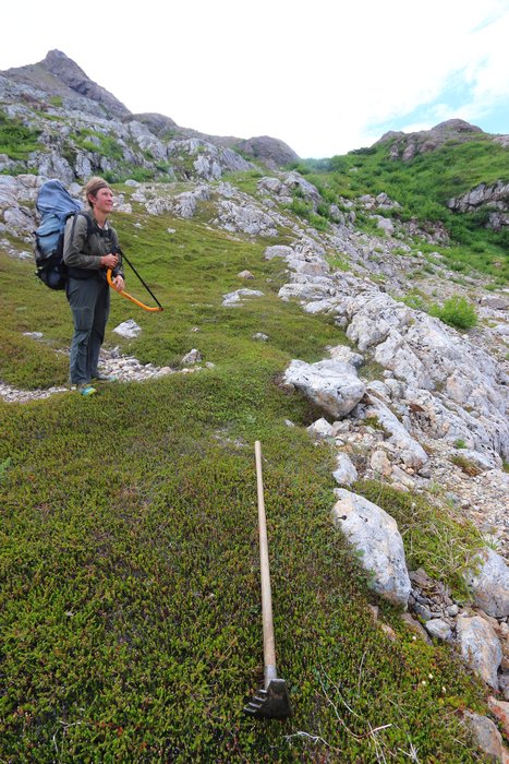This area will eventually develop a worn-in trail. Where would it be best to encourage it to wear in? Lots of boulders - maybe some steps?