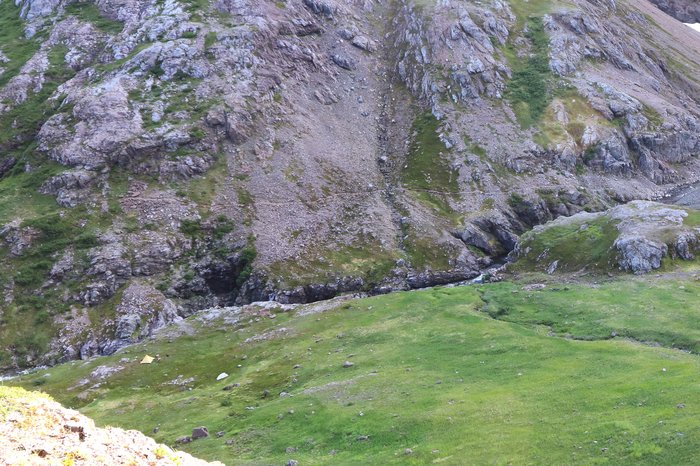 Prior to building this section of trail, there were multiple animal trails weaving across this slope, looking for the optimal route.