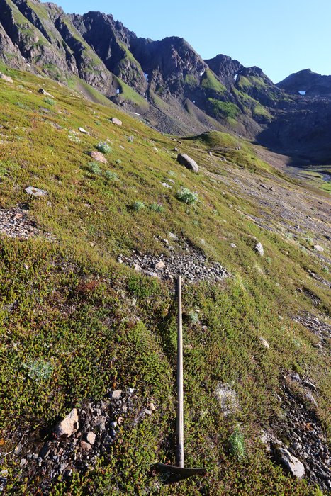This section of tundra traverse is affected by frost-heave solifluction processes, which may complicate any solution.