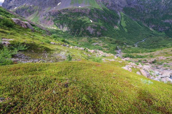 This section of beautiful tundra and boulders has the potential for a problematic tread to wear in.