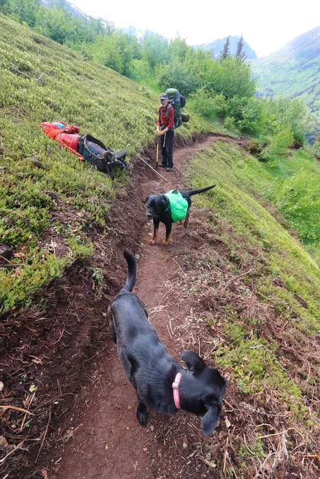 Super volunteer Byron McCord and his two dogs appreciate newly built tread.
