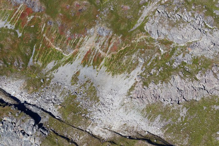 A zig-zag normal scarp crosses a tundra slope above Columbia Glacier.