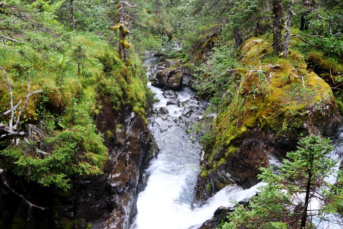This canyon may be a good site for a future bridge along the Tutka Backdoor trail.