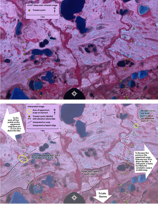 A beach scarp shown here appears to be shifted vertically.
