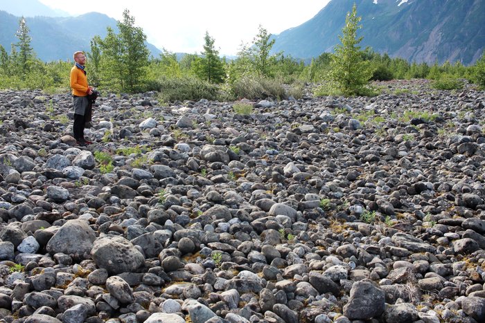 This carpet of sorted boulders was left behind by a giant wave that surged out of Grewingk Lake when a landslide plunged into it.