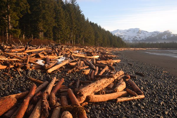 Gore Point beach