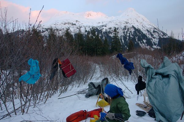 Gear spread out to freeze