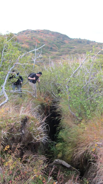 This crack near a large landslide scar from 1967 seems to be growing.