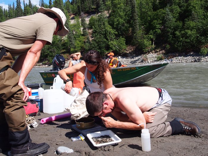 AEA scientists collecting organic samples for isotope analysis