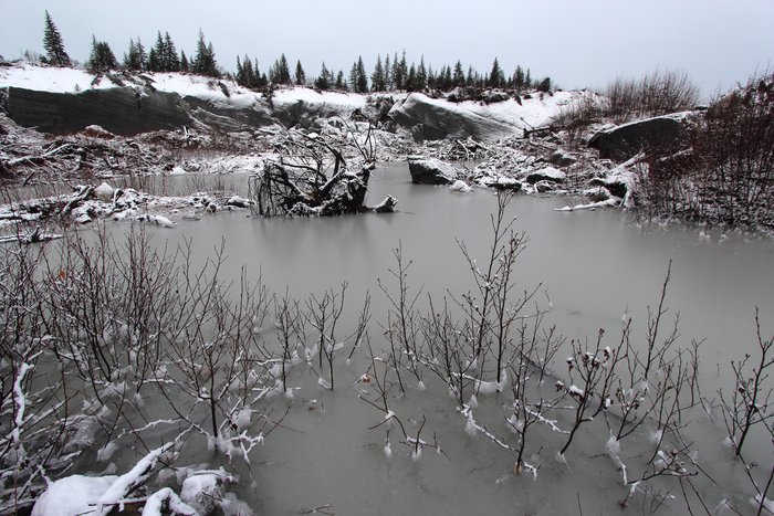 A night of sleet and snow left a morning sheathed in ice.