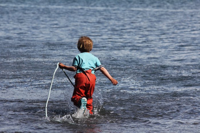 Katmai chases bubbles in warm sun and cold water on Kachemak Bay.