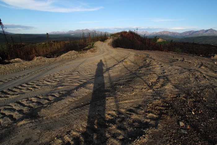At the end of a long hot day hiking with a larger group, I packed a light pack and ran through the forest to photograph the aftermath of fire that raged around this remote road-bed.