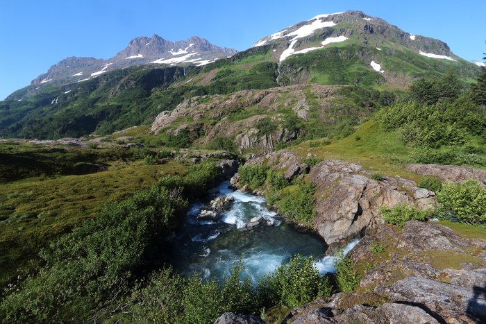 A creek flows through a gorge in upper Tutka