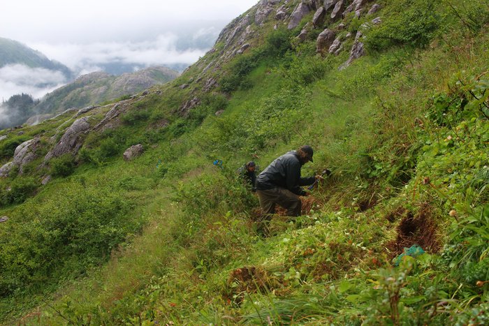 This slope was steep enough to be scary to walk with a heavy pack, but a bit of thin tread changes that.
