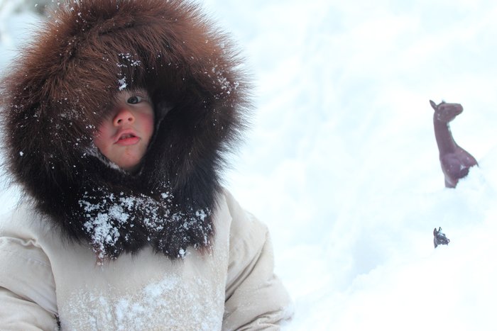 Katmai brings his plastic horses on an "adventure" behind the yurt