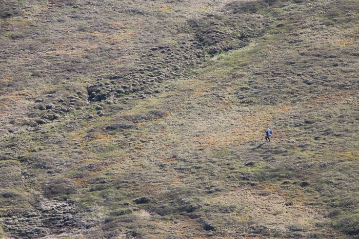 As we flew out, Andrew was already walking.