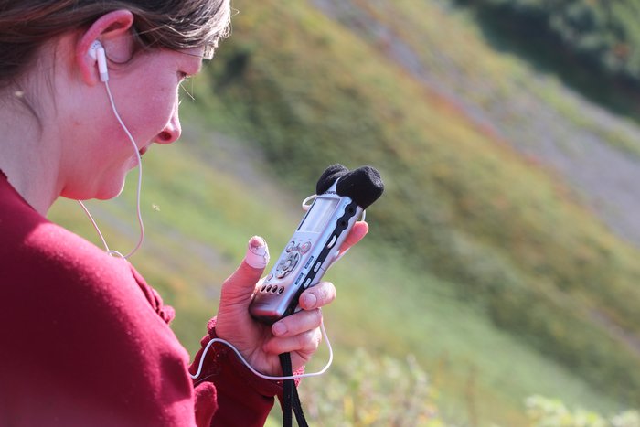 We recorded about 20 hours of audio on this little high-def recorder.