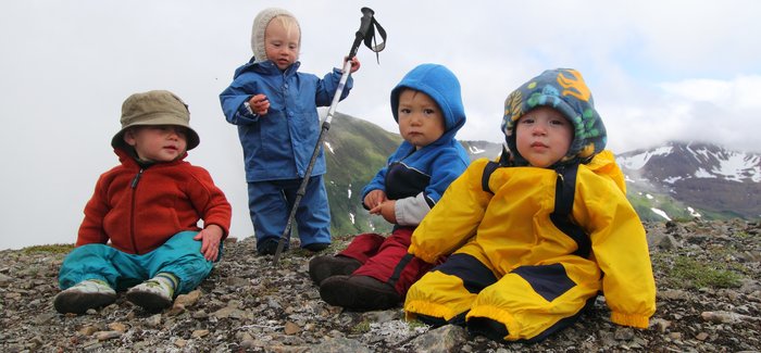 From left to right:  Duna, Katmai, Ellis, and Bo.