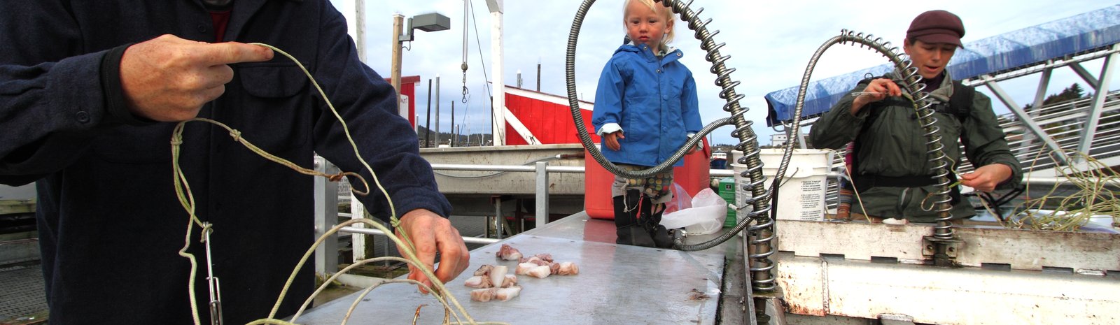 Herring Fishery in Alaska