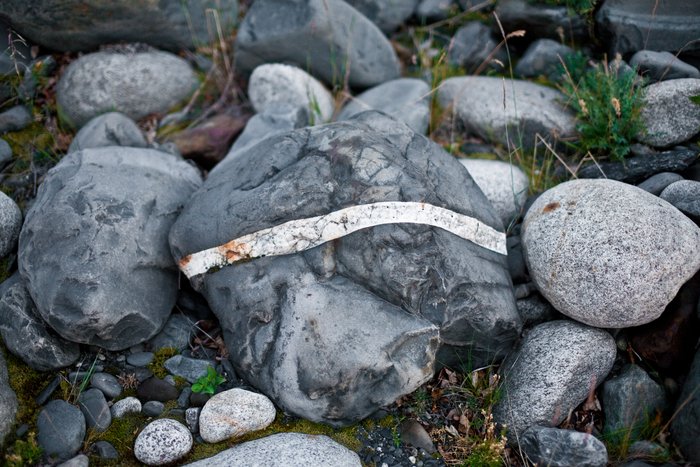 Found near Tustumena Glacier