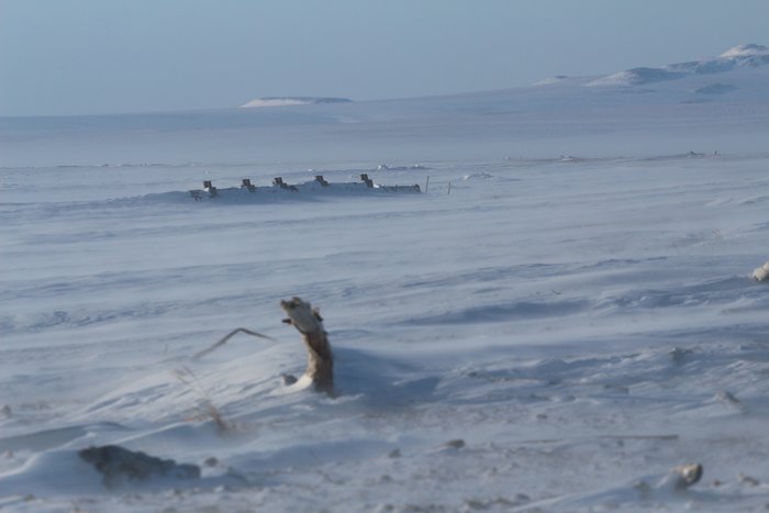 We spent two nights in a small hold of a barge as wind streaked overhead.  All that protruded above the snow drifts was a series of posts along one edge of the barge.