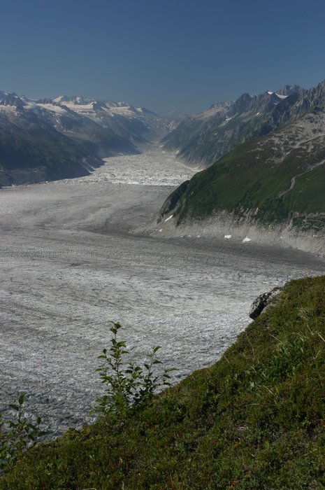 Along the edge of Blockade Glacier, <a href="http://www.groundtruthtrekking.org/Issues/ClimateChange/GlacierRetreatInAlaska.html">bare rock marks the edge where the ice used to reach. 
