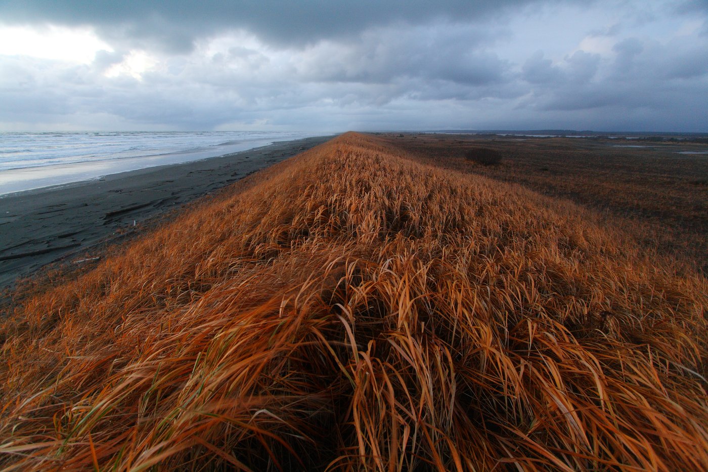 Yakutat Forelands Prospects Ground Truth Alaska