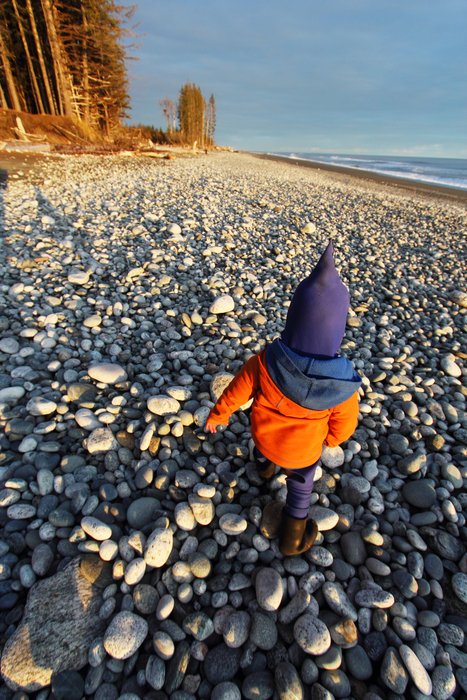 Katmai is always a big fan of playing on the beach.