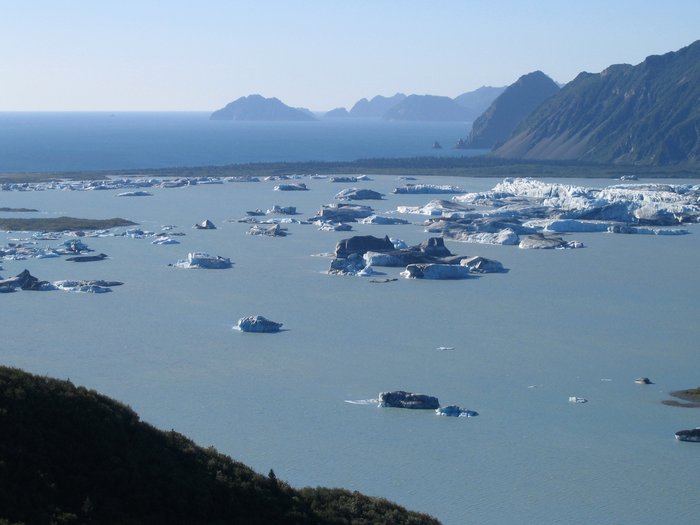 Recently a glacier nearly to tidewater, this lake has opened up in front of a glacier in the Kenai Fjords