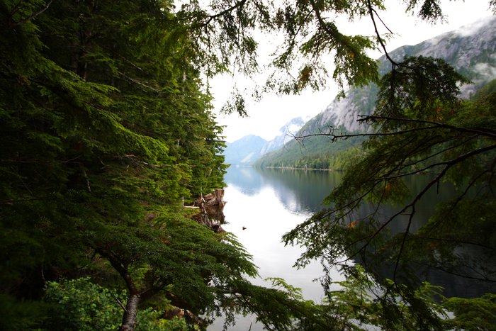 Looking along the length of Bear Lake from thick forest along its shore.