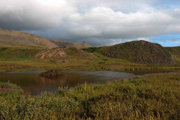 A beaver dam and pond, at the foot of Groundhog Mountain. Beaver dams were fairly common in lakes with alder and other brush nearby.