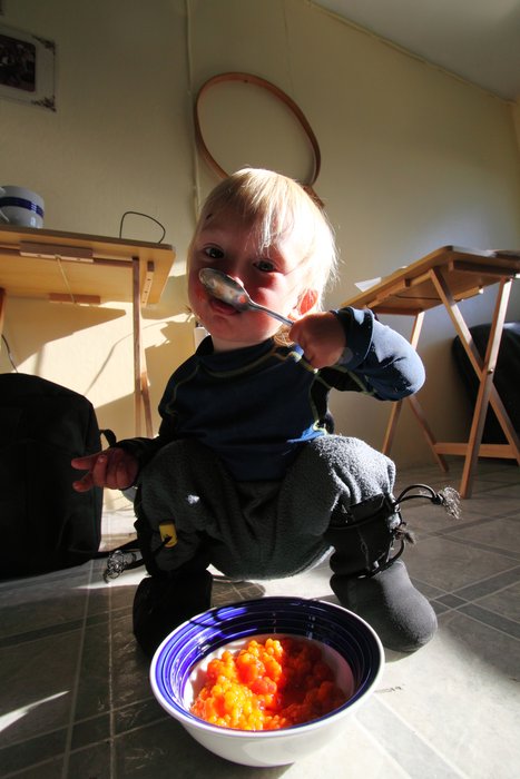 Katmai devours cloudberries in Pt. Hope.
