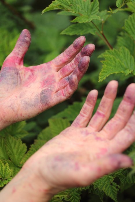 Will they be stained purple forever?