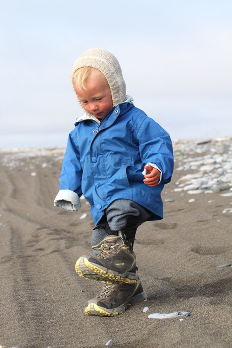Katmai worked hard to figure out how to walk in mom's footwear.