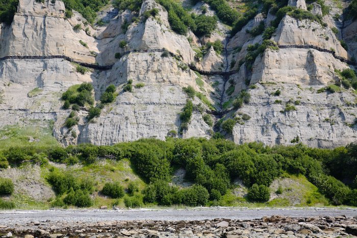 A coal seam makes a dark stripe across the bluffs at Bluff Point in Homer, Alaska