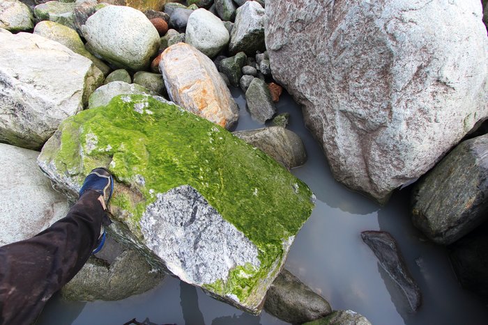 This boulder must have either been thrown by a recent storm, or been hit by another rock similarly thrown.