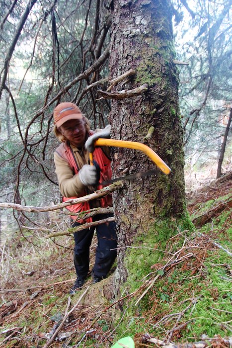 We put a lot of milage on our bow saws cutting trail.