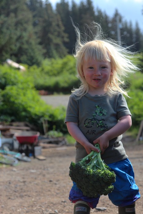 Late July in the garden