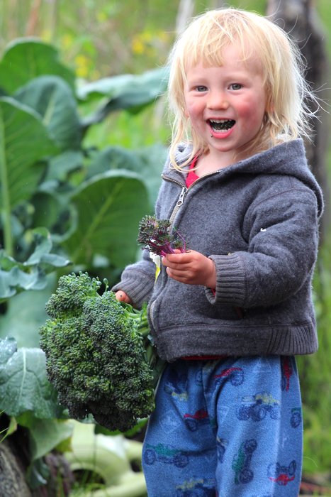 Katmai is a big fan of the garden.