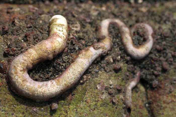 May 2011 low tides at Barabara Creek Beach, Kachemak Bay, Alaska