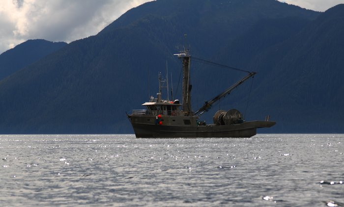 As we neared Alaska, crossing the Douglas Channel, we started seeing commercial fishing vessels.