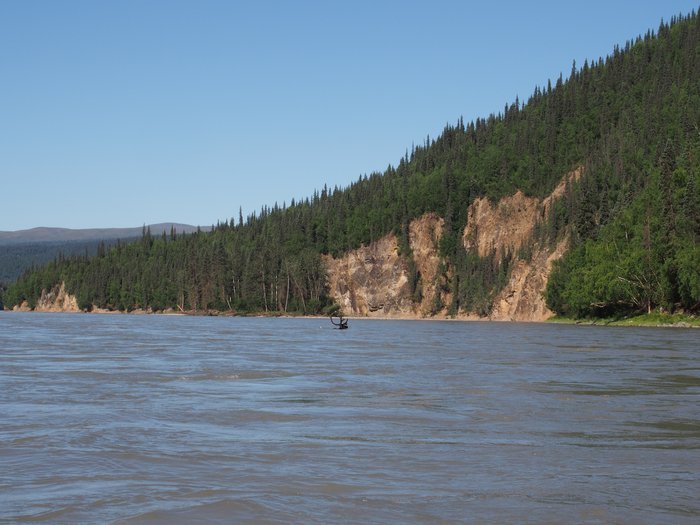 Caribou crossing very near the proposed damsite