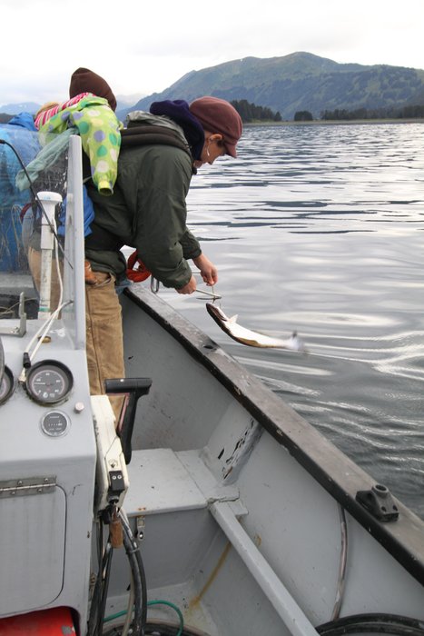 Kari flips the hook out with the gaff.