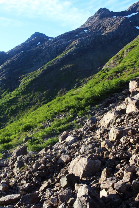The <a href="http://www.groundtruthtrekking.org/tutka_backdoor/">Tutka Backdoor</a> trail descends the lighted ridge in the background, then traverses across the slope and through the talus. This photo was taken just before we started building the traverse - now there's cairns, flagging, and tread to lead the way.