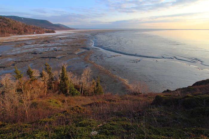 The eastern edge of Chickaloon Bay
