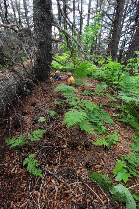 Who has abandoned these children to the wolves!?!