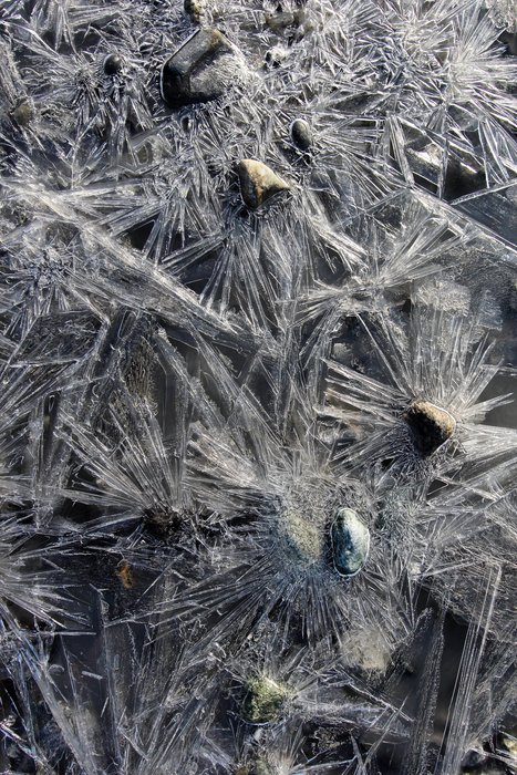 Ice cyrstals radiate from pebbles in a stream, where supercooled water flows from a spring at the glacier's edge.