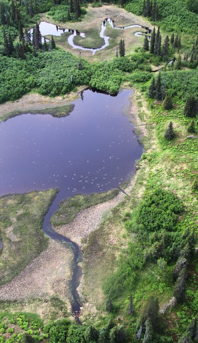 Photos from our 2010 Chuitna trek.