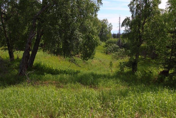 Photos from our 2010 Chuitna trek.